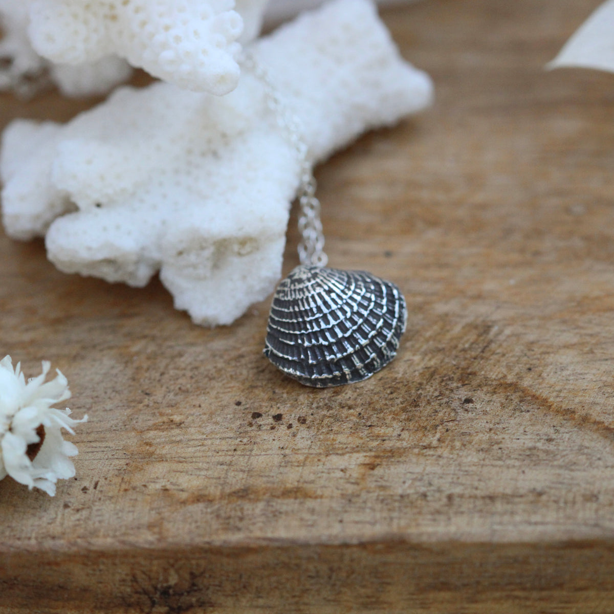 Beach Comber Sterling Silver Shell Necklace