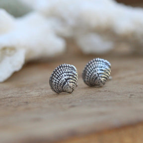 Beach Comber Shell sterling silver post earrings