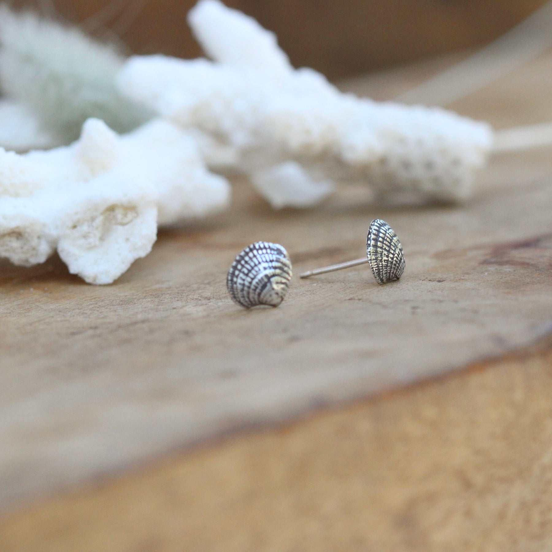 Beach Comber Shell sterling silver post earrings