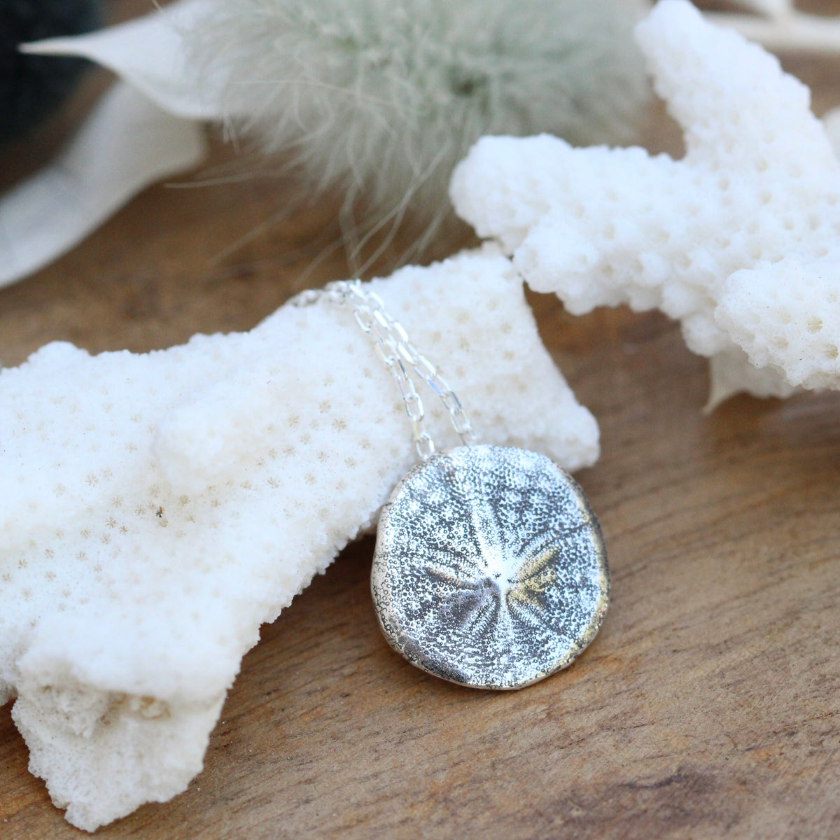 beach comber Sterling Silver Pacific Coast Sand Dollar Necklace