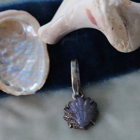 Carved Boulder Opal Shell Charm Pacific Coast Collection