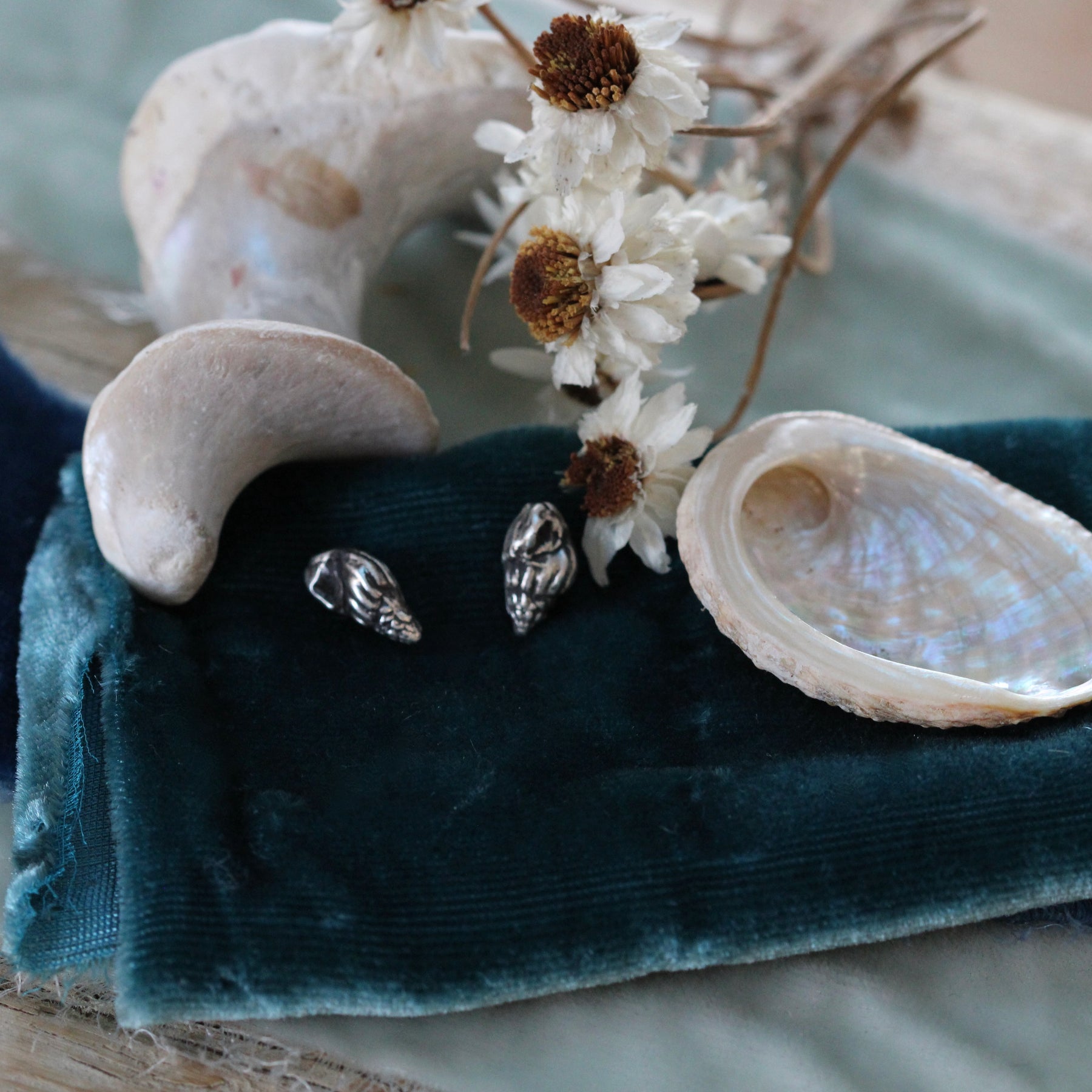 Sterling Silver Whelk stud earrings Pacific Coast Collection
